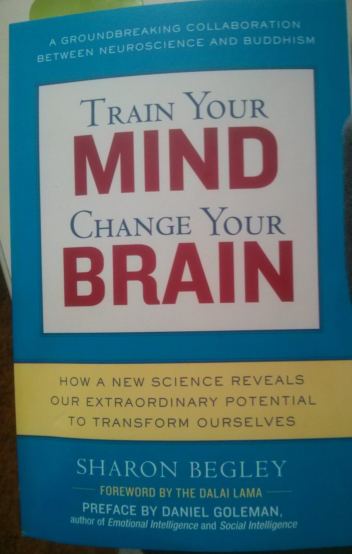 Train Your Mind, Change Your Brain